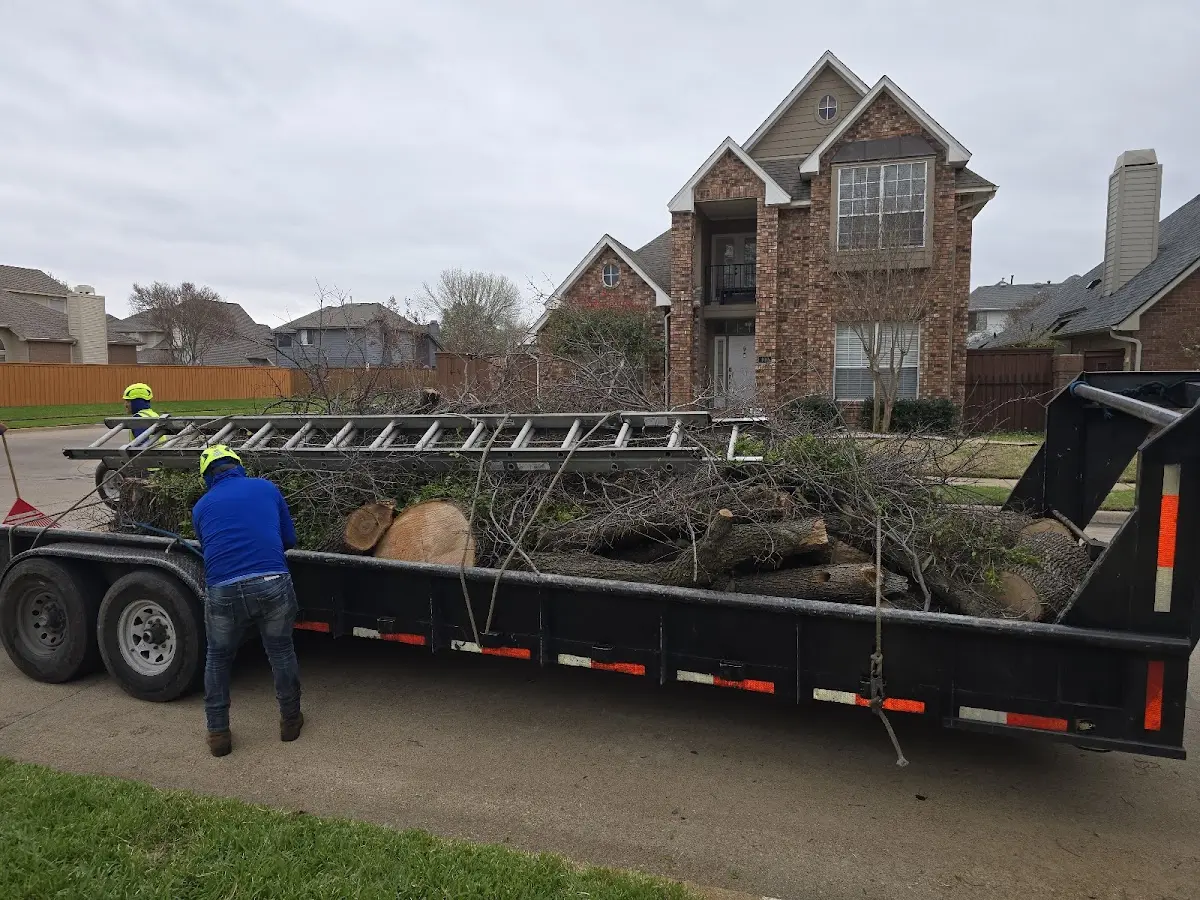 Expert Tree Fertilization with proper safety equipment in Evergreen